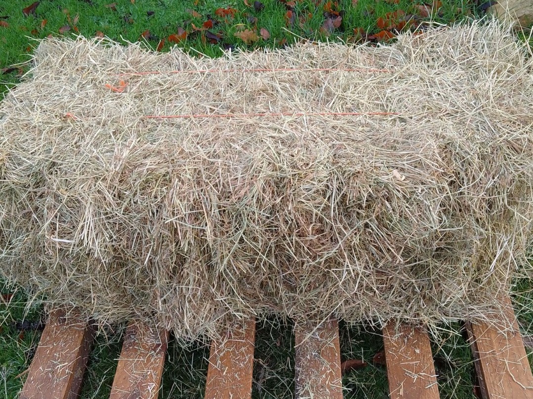 New In Stock, Meadow Hay